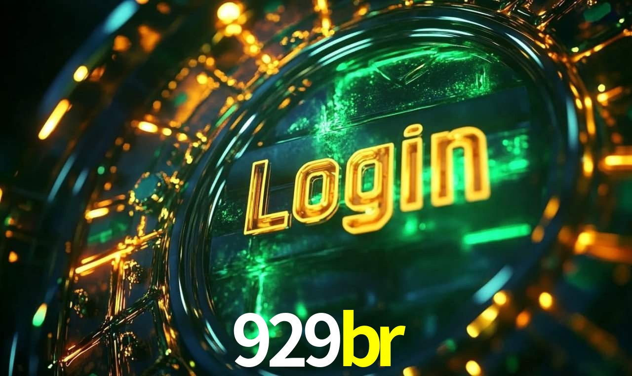 Segurança e privacidade no APP 929br